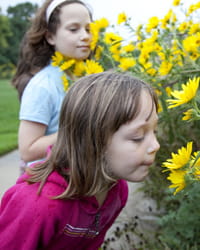 health-policy-visual-200x250